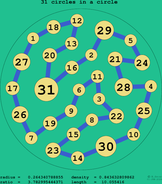 31 circles in a circle
