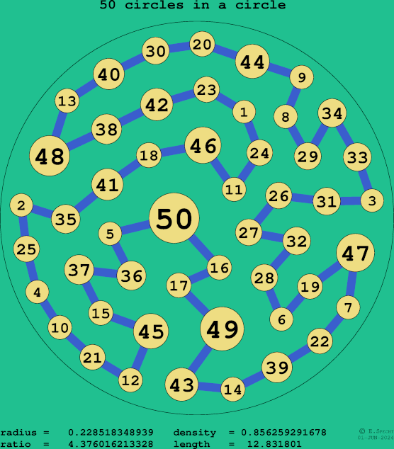 50 circles in a circle