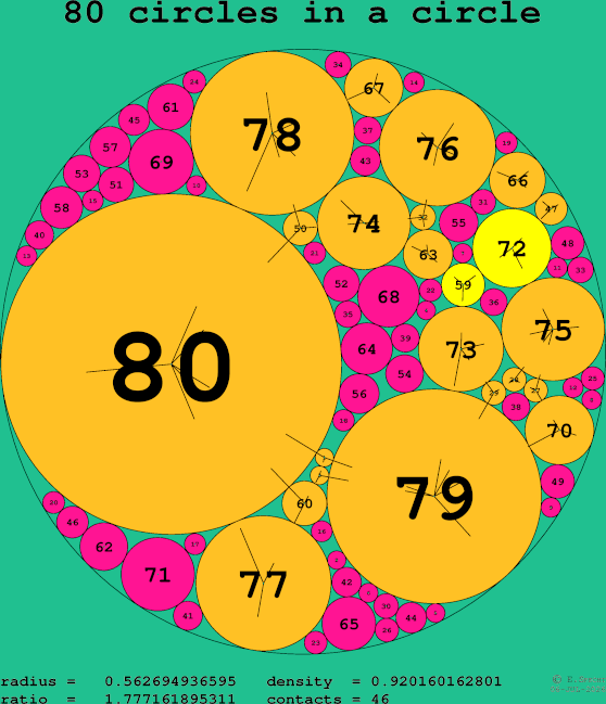 80 circles in a circle