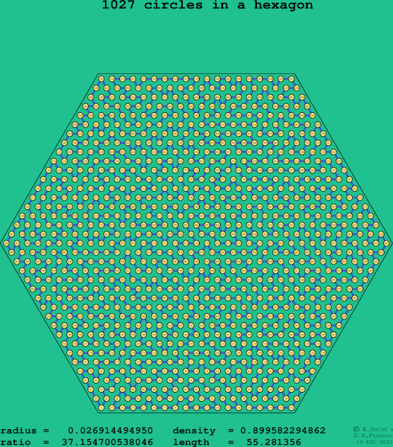1027 circles in a regular hexagon
