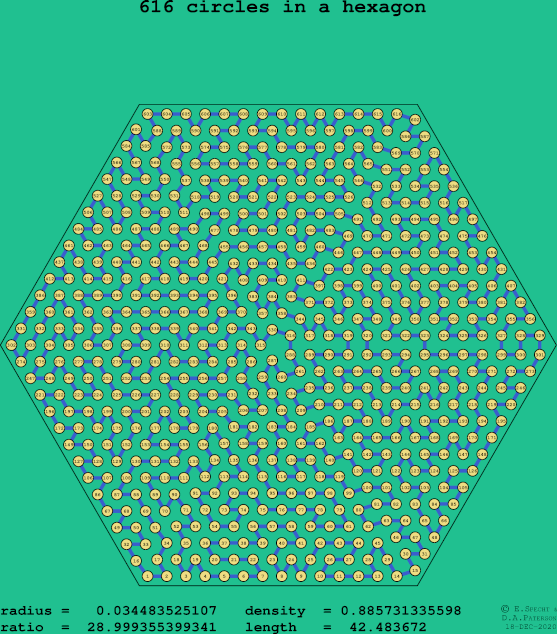 616 circles in a regular hexagon