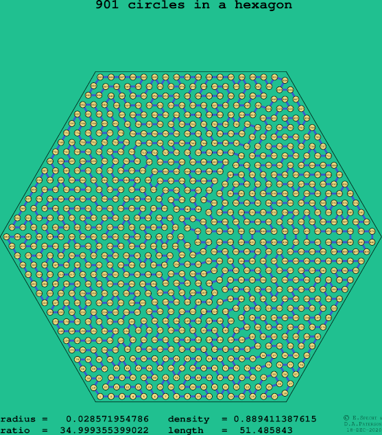 901 circles in a regular hexagon