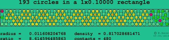 193 circles in a rectangle