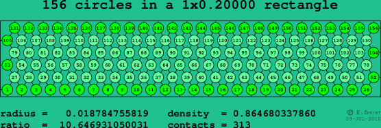 156 circles in a rectangle