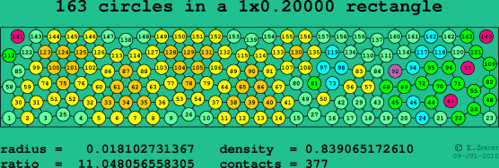 163 circles in a rectangle