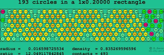 193 circles in a rectangle