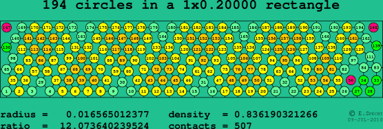 194 circles in a rectangle
