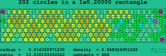 202 circles in a rectangle