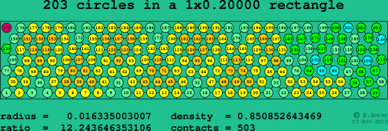 203 circles in a rectangle