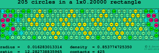 205 circles in a rectangle