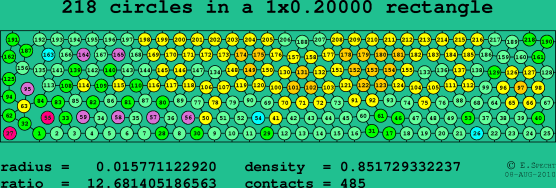 218 circles in a rectangle