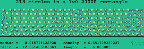 218 circles in a rectangle