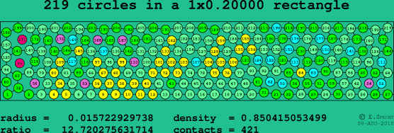 219 circles in a rectangle