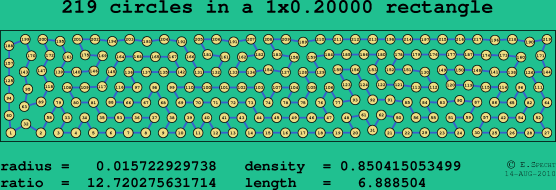 219 circles in a rectangle