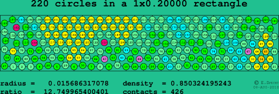 220 circles in a rectangle