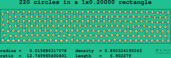 220 circles in a rectangle