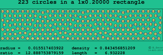 223 circles in a rectangle