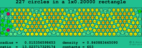 227 circles in a rectangle