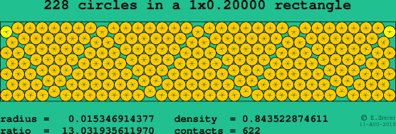 228 circles in a rectangle