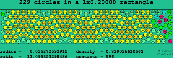 229 circles in a rectangle