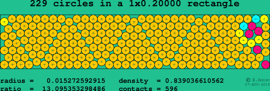 229 circles in a rectangle