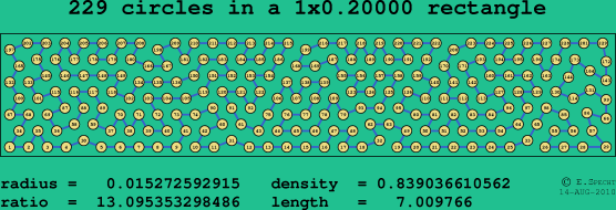 229 circles in a rectangle