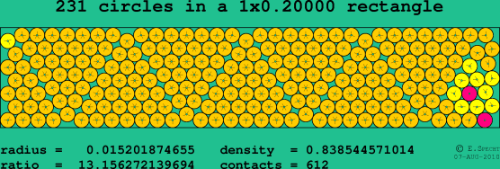 231 circles in a rectangle