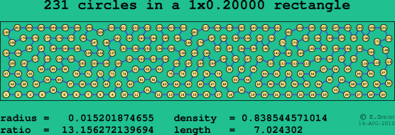 231 circles in a rectangle