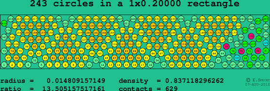 243 circles in a rectangle