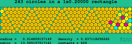 243 circles in a rectangle