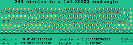 243 circles in a rectangle