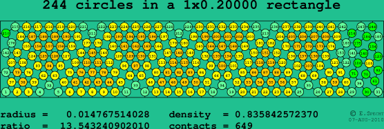 244 circles in a rectangle