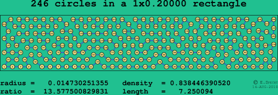 246 circles in a rectangle