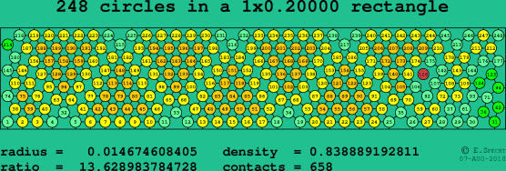 248 circles in a rectangle