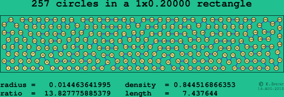 257 circles in a rectangle