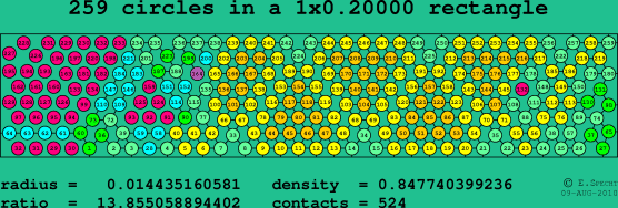 259 circles in a rectangle