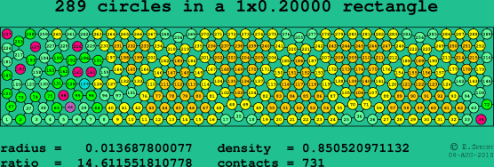 289 circles in a rectangle