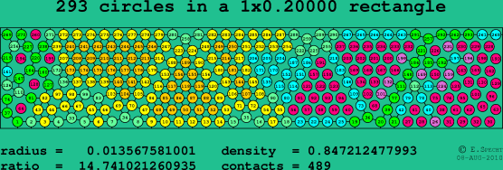 293 circles in a rectangle