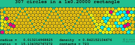 307 circles in a rectangle