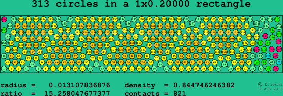 313 circles in a rectangle