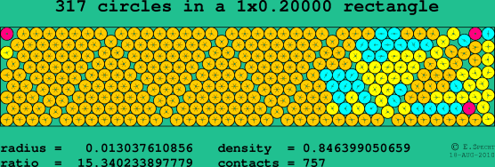 317 circles in a rectangle