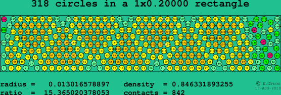 318 circles in a rectangle
