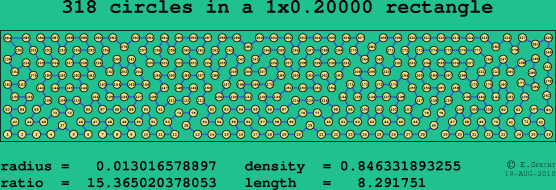 318 circles in a rectangle