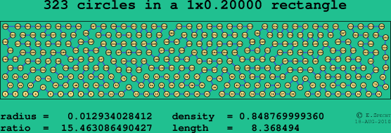 323 circles in a rectangle