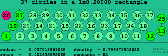 37 circles in a rectangle