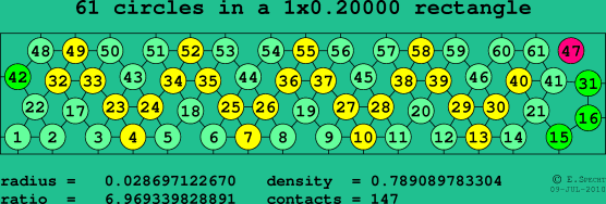 61 circles in a rectangle