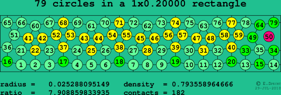 79 circles in a rectangle