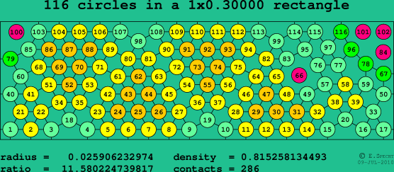116 circles in a rectangle