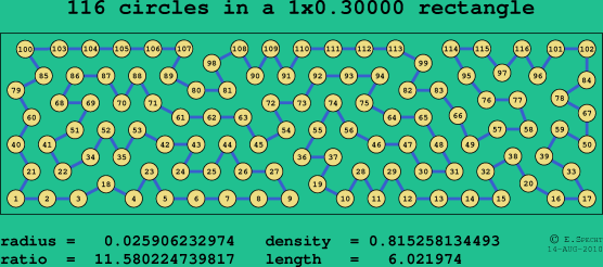 116 circles in a rectangle