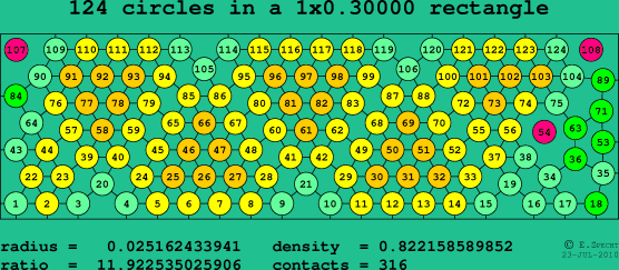 124 circles in a rectangle
